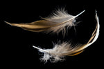 5.5” Brown/Black Hackle Feather (2 Pcs) #FEA006-General Bead