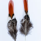 4" Golden Pheasant Feather (2 Pcs) #FEA009-General Bead