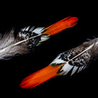 4" Golden Pheasant Feather (2 Pcs) #FEA009-General Bead