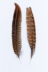 6" Brown and Black Stripe Pheasant Tail Feather (2 Pcs) #FEA013-General Bead