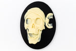 30mm x 40mm Ivory and Black Pirate Skull Cameo #FPA104-General Bead