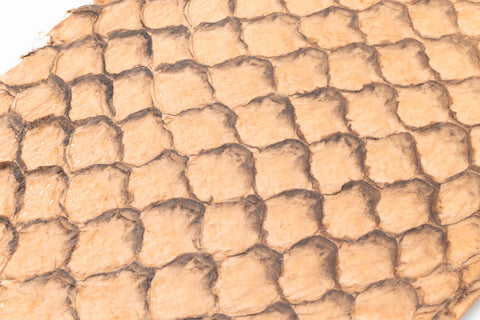 Fish Leather- Glossy Beige #FSHG-BE