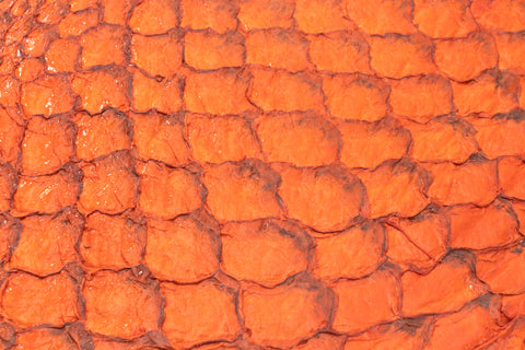 Fish Leather- Glossy Citrus #FSHG-CT