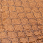 Fish Leather- Glossy Hazelnut #FSHG-HZ