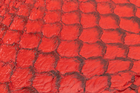 Fish Leather- Glossy Red #FSHG-RE