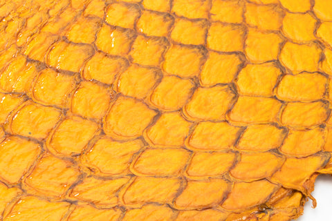 Fish Leather- Glossy Yellow #FSHG-YE