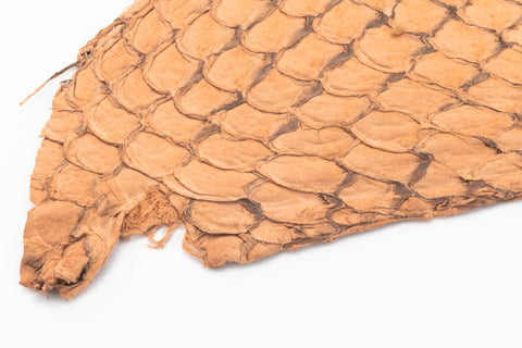 Fish Leather- Suede Beige #FSHM-BE