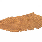 Fish Leather- Suede Hazelnut #FSHM-HZ