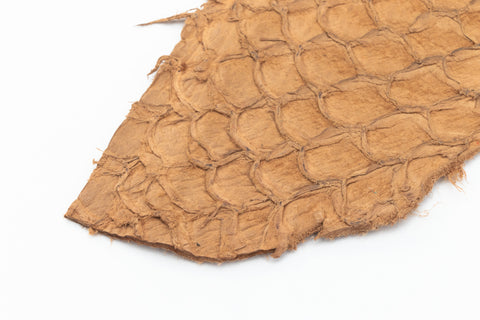 Fish Leather- Suede Hazelnut #FSHM-HZ