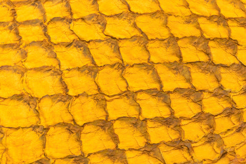 Fish Leather- Suede Yellow #FSHM-YE