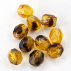4mm Transparent Tortoiseshell Fire Polished Bead-General Bead