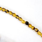 4mm Transparent Tortoiseshell Fire Polished Bead-General Bead