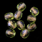 4mm Copper Lined Olive Fire Polished Bead (50 Pcs) #GBB109-General Bead