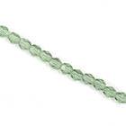 4mm Transparent Tourmaline Fire Polished Bead-General Bead