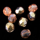 6mm Rose/Gold Fire Polished Bead-General Bead