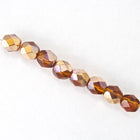 6mm Smoked Topaz/Gold Fire Polished Bead-General Bead