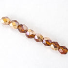6mm Smoked Topaz/Gold Fire Polished Bead-General Bead