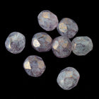 6mm Stone Matte Gold Luster Rose Fire Polished Bead-General Bead