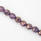 8mm Gold Luster Amethyst Fire Polished Bead-General Bead
