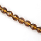 8mm Transparent Smoked Topaz Fire Polished Bead-General Bead
