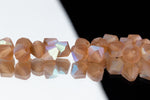 5mm Matte Light Colorado Topaz AB Faceted Crystal Bicone #GDQ077