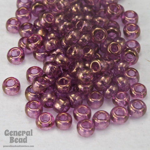 11/0 Gold Luster Amethyst Japanese Seed Bead-General Bead