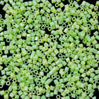 15/0 Opaque Avocado Hex Seed Bead-General Bead