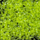 15/0 Transparent Chartreuse Hex Seed Bead-General Bead
