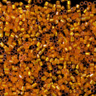 15/0 Silver Lined Tangerine Hex Seed Bead-General Bead