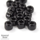 6/0 Opaque Black Japanese Seed Bead-General Bead