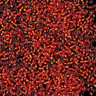 15/0 Silver Lined Dark Orange Japanese Seed Bead-General Bead
