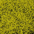 15/0 Silver Lined Citrine Yellow Japanese Seed Bead-General Bead