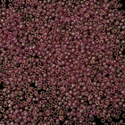 15/0 Gold Luster Amethyst Japanese Seed Bead-General Bead