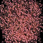 15/0 Lined Salmon Japanese Seed Bead-General Bead