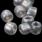 3/0 Transparent Chinchilla Grey AB Seed Bead-General Bead