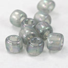 3/0 Transparent Chinchilla Grey AB Seed Bead-General Bead
