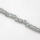 3/0 Transparent Chinchilla Grey AB Seed Bead-General Bead