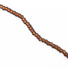 6/0 Matte Silver Lined Chocolate Japanese Seed Bead (20 Gm) #JWF013-General Bead