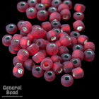 11/0 Matte Silver Lined Ruby Japanese Seed Bead-General Bead