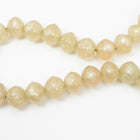 16" Strand 19mm x 20mm Champagne Resin Saucer Beads (25 Pcs) #RES503