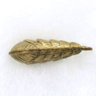 20mm Brass Shell #186-General Bead