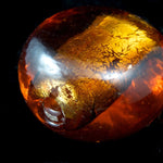 18mm Smoked Topaz Foil Coin Bead #2027-General Bead