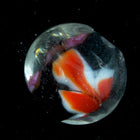 12mm Red and Black Glass Bead with Flowers (4 Pcs) #2579-General Bead