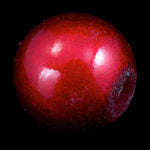 8mm Red Wonder Bead-General Bead