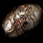 13mm x 18mm Topaz/Bronze Oval Bead #2892-General Bead