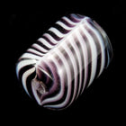 10mm x 15mm White/Purple Stripe Cylinder Bead (2 Pcs) #3157-General Bead