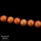 4mm Brown Wonder Bead (100 Pcs) #4425-General Bead