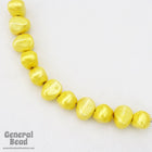 8mm x 12mm Pearlized Yellow Bead-General Bead