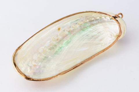 68mm White Abalone Shell with Gold Accents #SHELL 1-General Bead