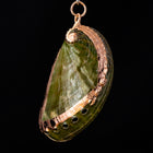 50mm Green Abalone Shell with Gold Accents #SHELL 2-General Bead